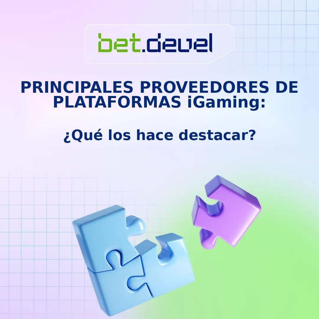 Principal Proveedor de Plataformas de iGaming: ¿Qué lo Hace Destacar?