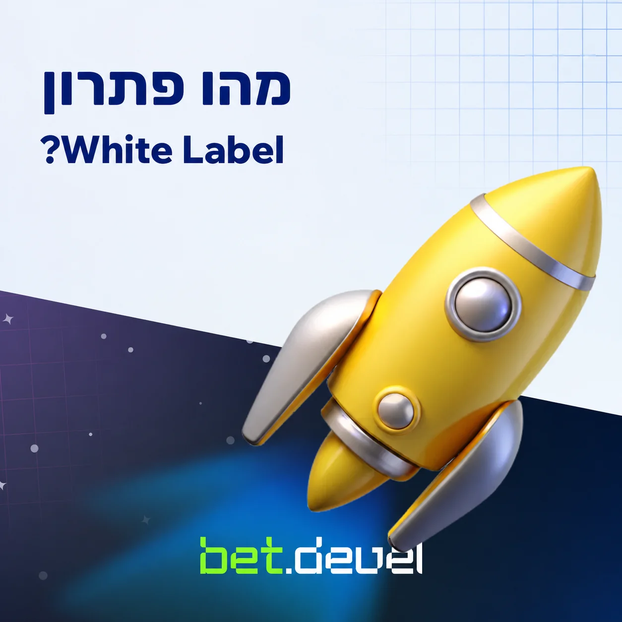 מהו פתרון וייט-לייבל?